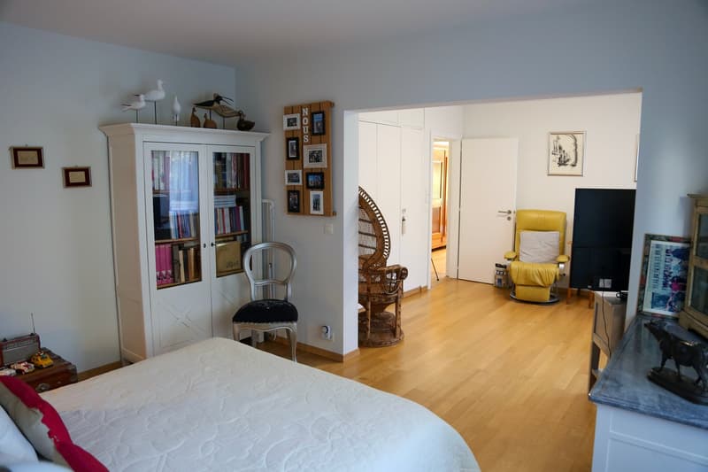 Magnifique appartement de 4,5 pièces vue sur les Alpes , terrasses et jardin (7)