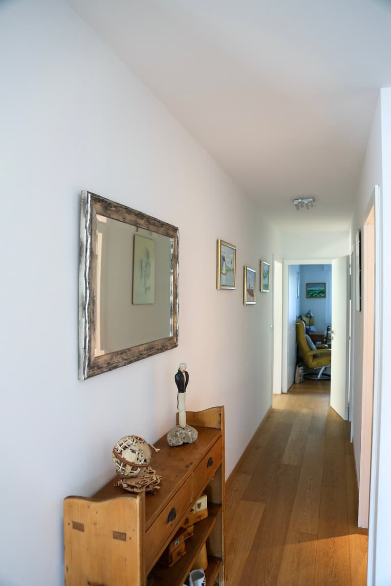 Magnifique appartement de 4,5 pièces vue sur les Alpes , terrasses et jardin (2)