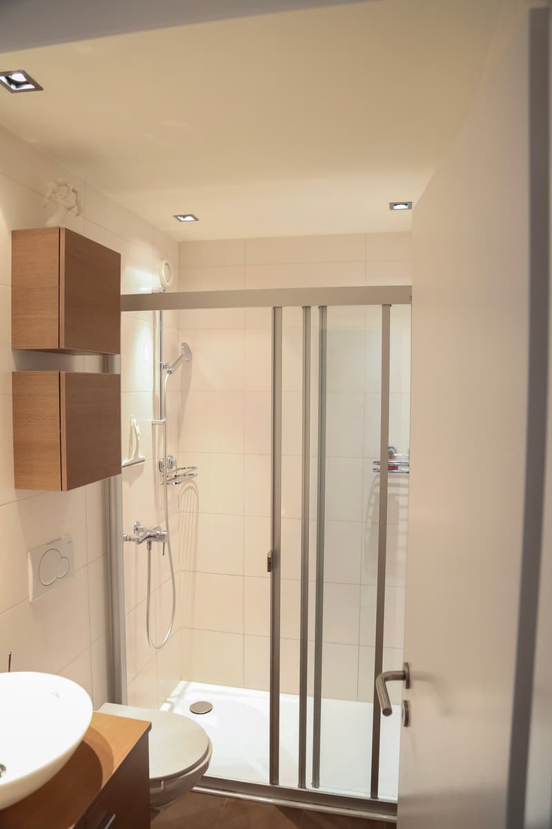 Magnifique appartement de 4,5 pièces vue sur les Alpes , terrasses et jardin (9)