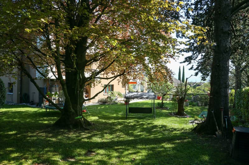 Magnifique appartement de 4,5 pièces vue sur les Alpes , terrasses et jardin (12)