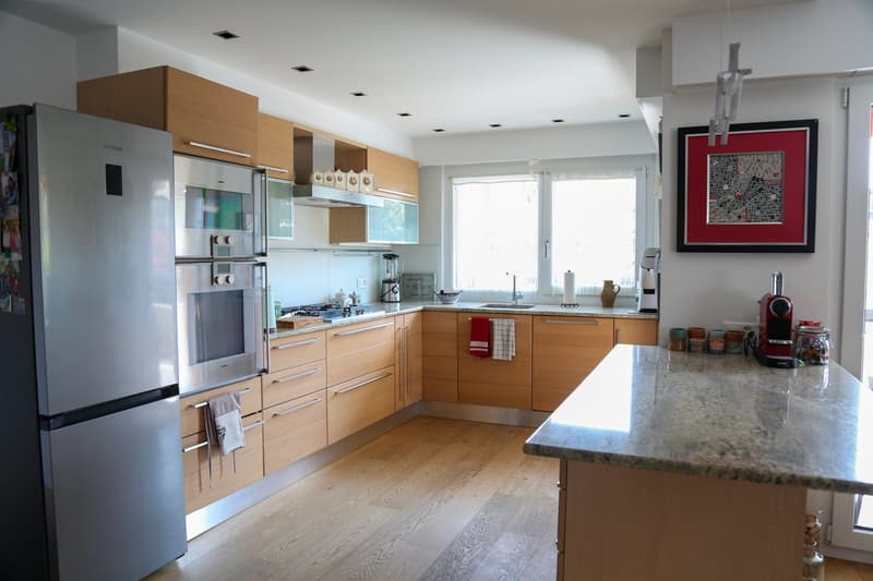 Magnifique appartement de 4,5 pièces vue sur les Alpes , terrasses et jardin (4)