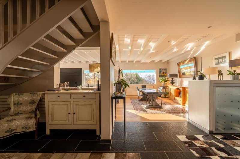 Magnifique maison de 8 pièces avec piscine et vue panoramique à Annecy-le-Vieux (5)