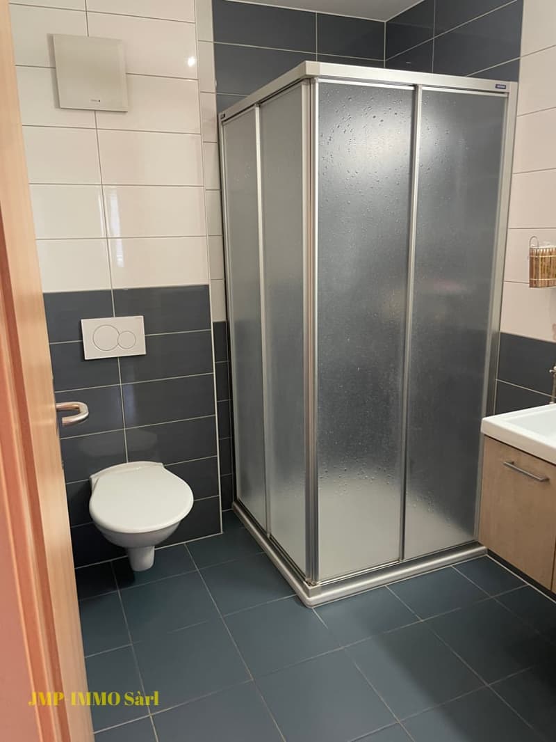 Bel appartement de 3.5 pièces proches des écoles (8)