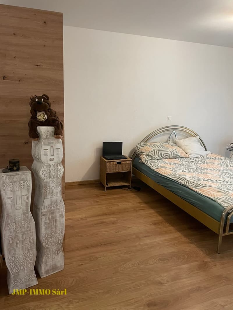 Bel appartement de 3.5 pièces proches des écoles (10)