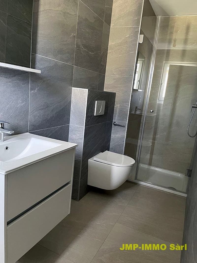 Très bel appartement en attique dans petite PPE (17)