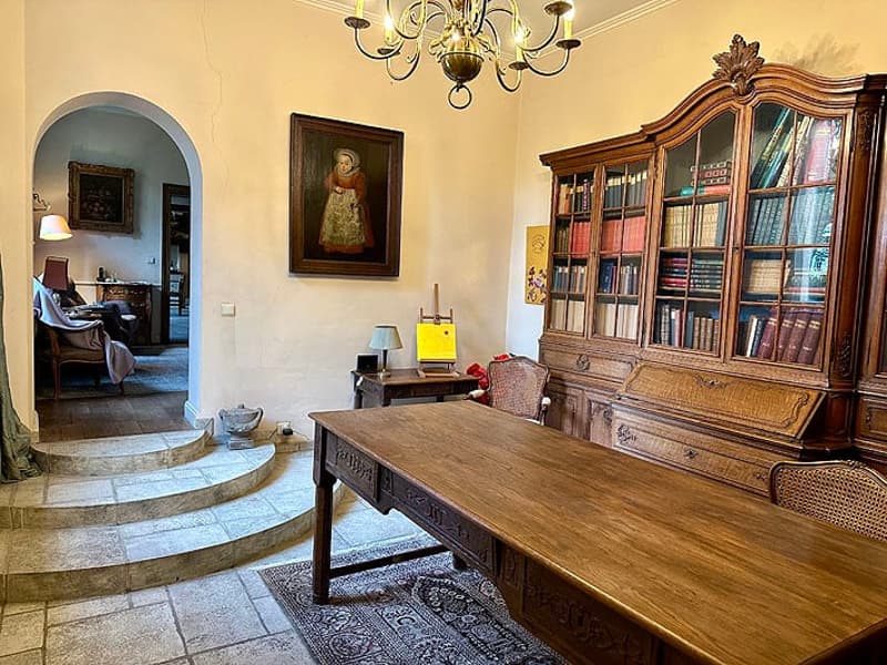OFFRE EXCEPTIONNELLE - DEMEURE HISTORIQUE ET DISCRÈTE EN BELGIQUE (9)
