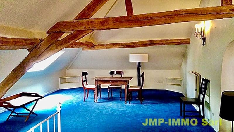 OFFRE EXCEPTIONNELLE - DEMEURE HISTORIQUE ET DISCRÈTE EN BELGIQUE (33)