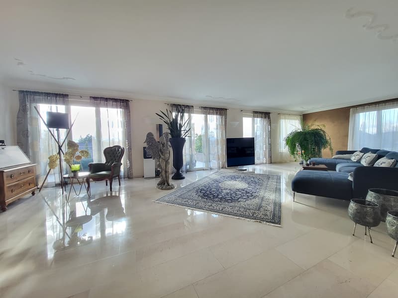 large living room, white tiles, large windows, blue couch, TV, rug, plants, statue, chair, table, lamp