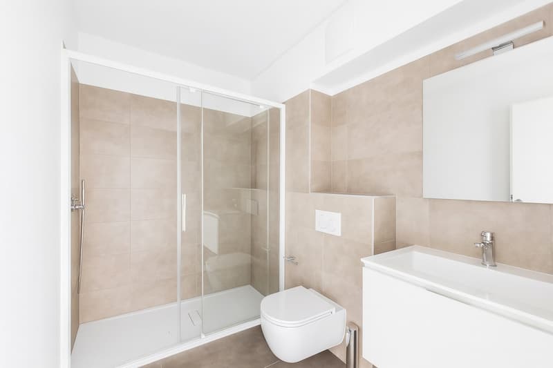 shower enclosure, toilet, sink, mirror, tiled walls, tiled floor, silver fixtures