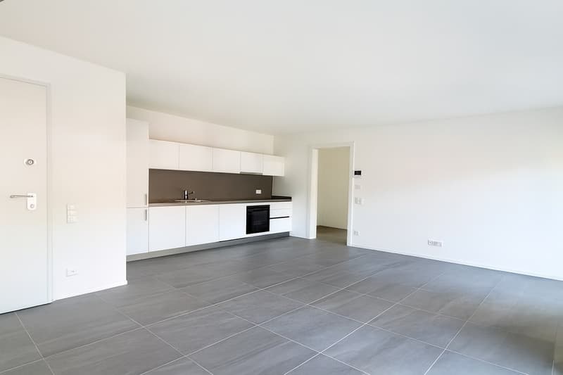 Caslano 2.5 loc. Moderno con Grande Terrazza | Pigione CHF 1'430 (2)