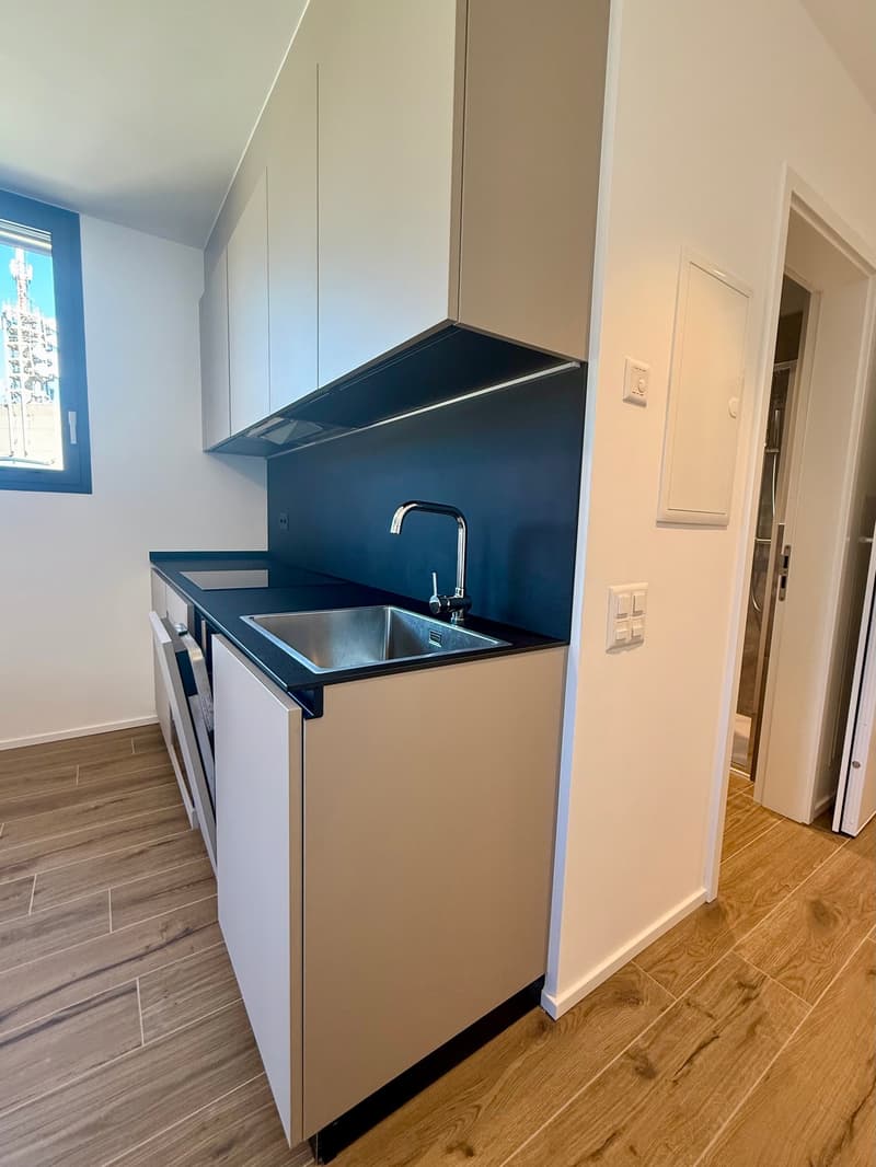 Breganzona 1.5 loc. Arredato Pigione 950 Spese 100 | (5)