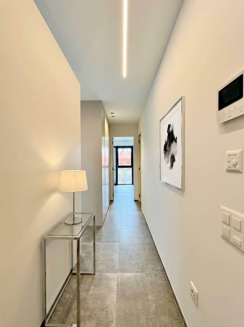 MASSAGNO | Nuovo 2.5 Locali con ampio terrazzo (3)
