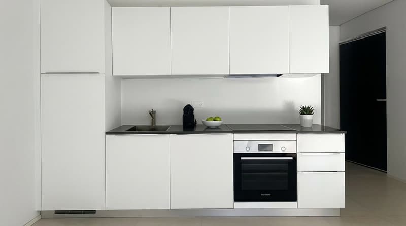 Monteggio | 2.5 a Reddito già affittato | moderno con giardino privato (2)