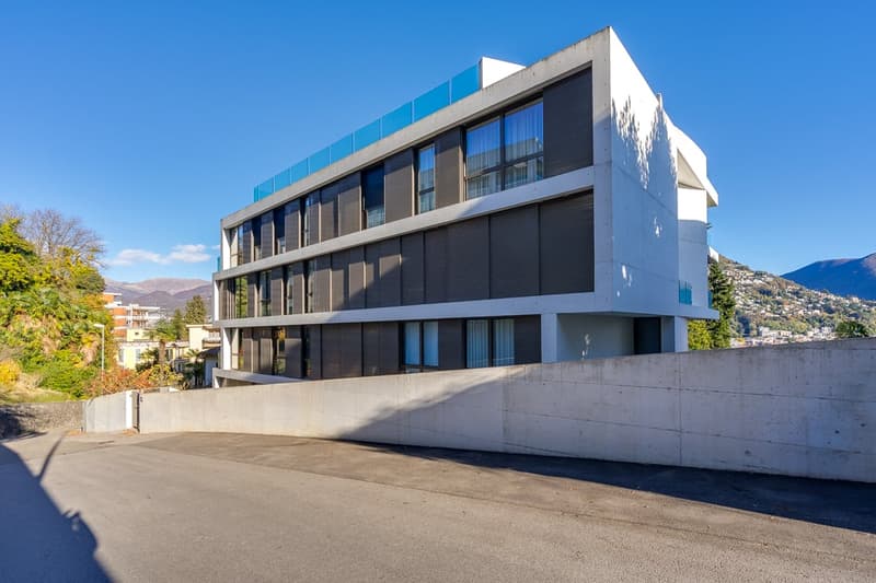 Lugano Elegante Appartamento 3.5 Locali Vista Lago (18)
