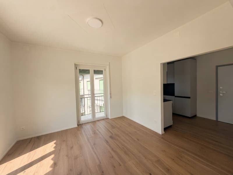 CHIASSO | Ampio appartamento di 7 locali con grande balcone (4)