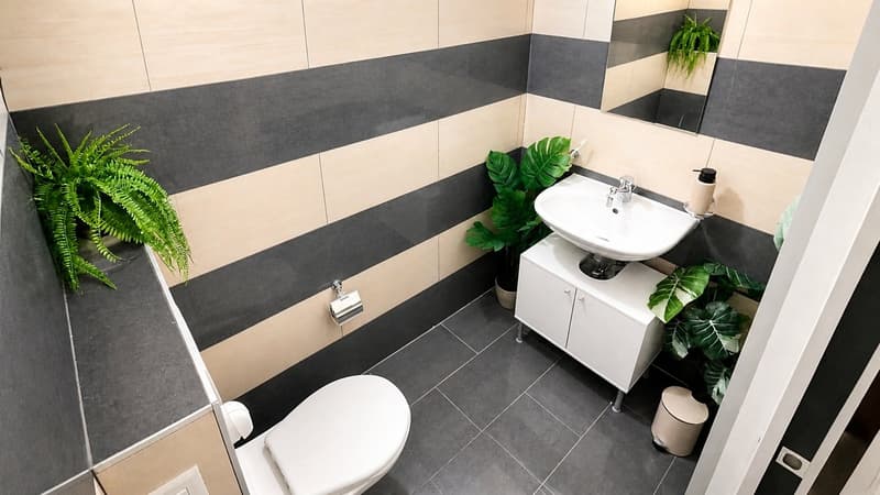 MASSAGNO | Luminoso UFFICIO 2 Locali | 1'050 CHF tutto compreso (8)