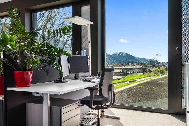 white desk, 2 monitors, black chair, small potted plant, sliding glass door
