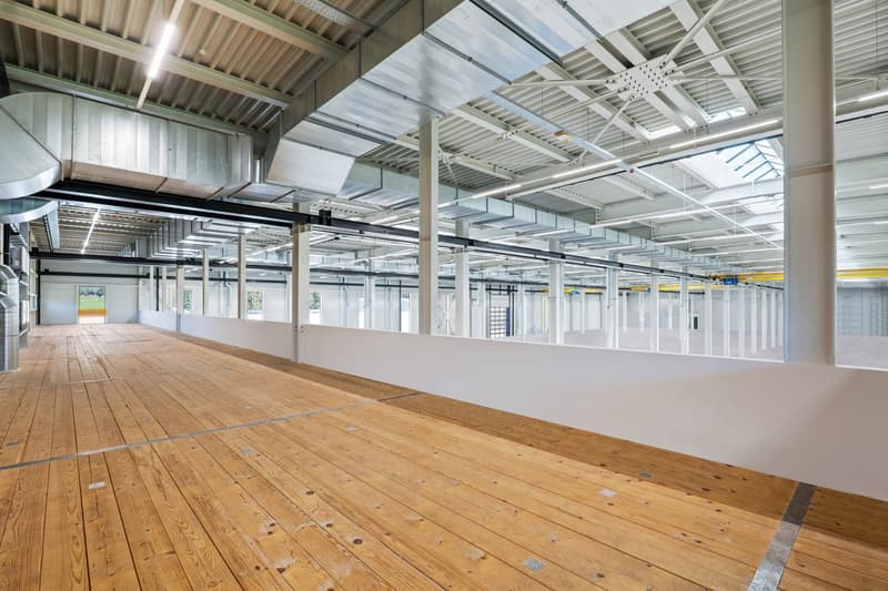 Large empty room with wooden floor, white walls, metal beams, lights, and a glass roof