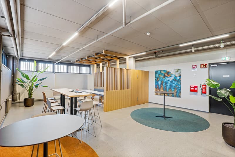 wooden desk, white tables, stools, wood dividers, window, fire extinguisher, paintings, plants