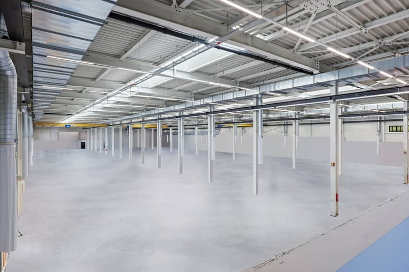 spacious warehouse, high ceilings, white walls, grey floors, numerous structural supports, large open area