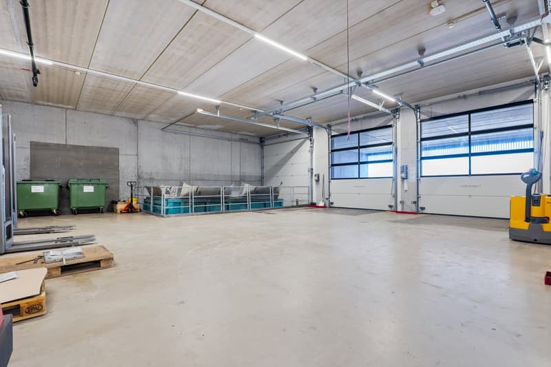 Large warehouse with concrete flooring, open space, industrial equipment, multiple windows, large doors, machinery, pallet racks, bins, forklift