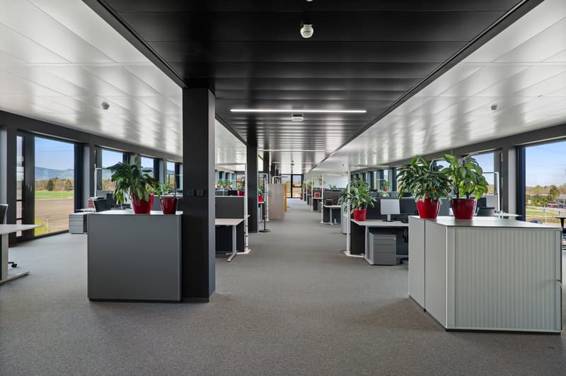 Moderne Büroräume direkt an der Grenze in Hohenems - Neubau 2022 (12)