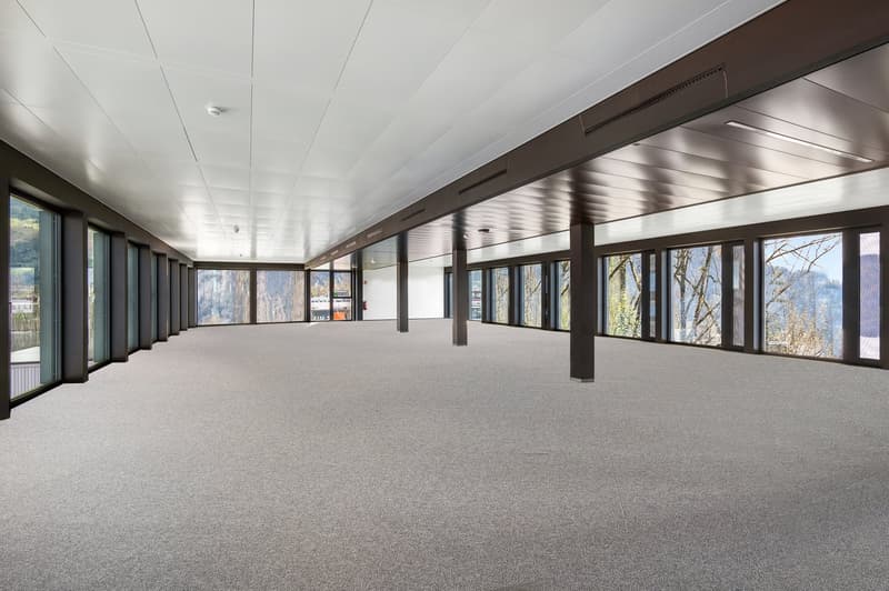 Grenznahe Büroflächen - AT, direkter Autobahnanschluss (8)