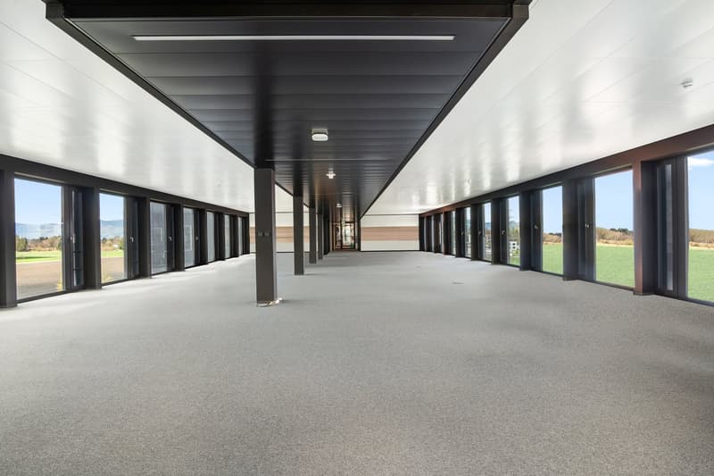 Spazi aziendali di confine in un edificio nuovo moderno (4)