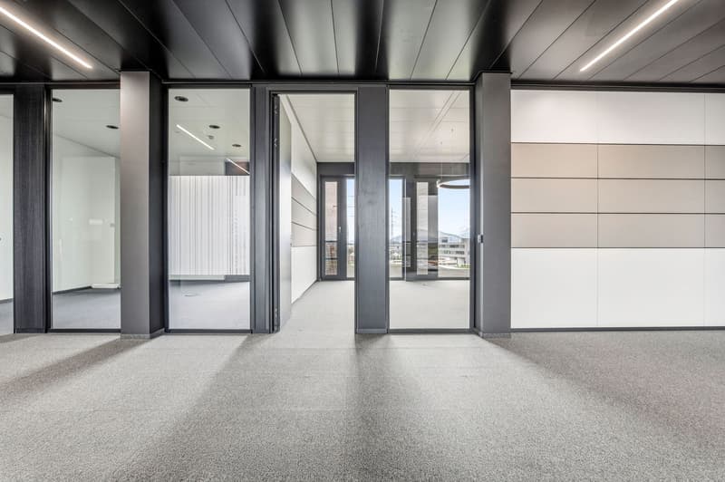 Spazi aziendali di confine in un edificio nuovo moderno (4)