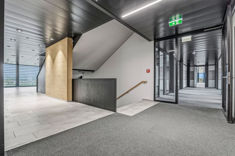 Spazi aziendali di confine in un edificio moderno di nuova costruzione (12)
