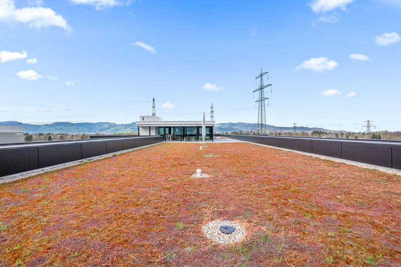 Spazi aziendali di confine in un edificio moderno di nuova costruzione (19)