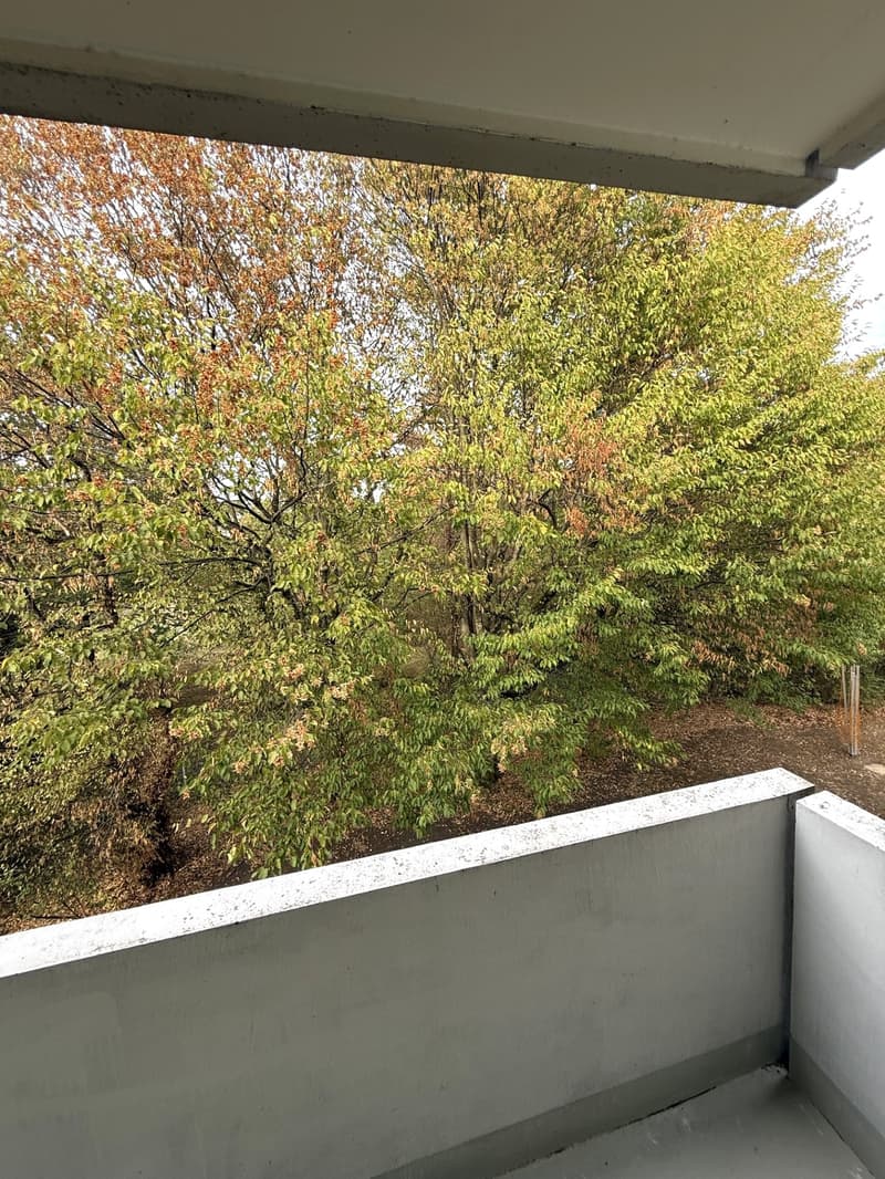 Balkon 2