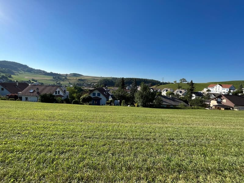 5.5-Zimmer-Doppeleinfamilienhaus Haus E1 & E2 Niederdorf (9)