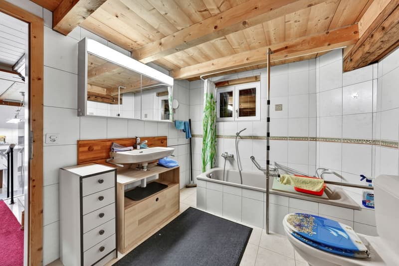 Charmantes Bauernhaus mit zwei Wohneinheiten an idyllischer Alleinlage in Oberwangen (Dussnang) (33)