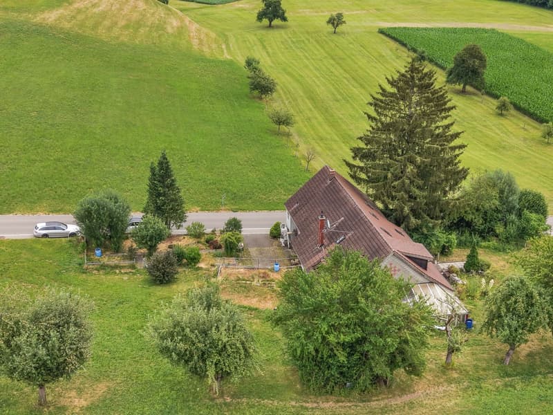 Charmantes Bauernhaus mit zwei Wohneinheiten an idyllischer Alleinlage in Oberwangen (Dussnang) (7)
