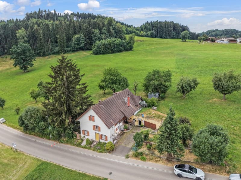 Charmantes Bauernhaus mit zwei Wohneinheiten an idyllischer Alleinlage in Oberwangen (Dussnang) (3)