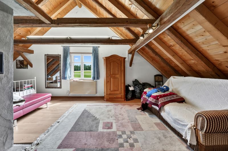Charmantes Bauernhaus mit zwei Wohneinheiten an idyllischer Alleinlage in Oberwangen (Dussnang) (24)