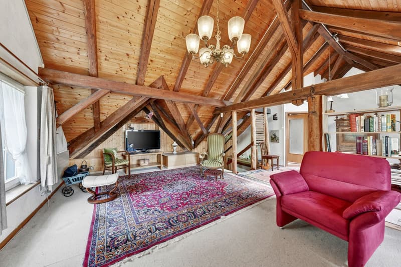 Charmantes Bauernhaus mit zwei Wohneinheiten an idyllischer Alleinlage in Oberwangen (Dussnang) (27)
