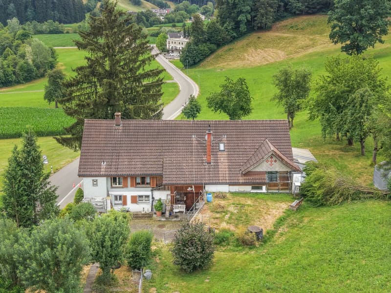Charmantes Bauernhaus mit zwei Wohneinheiten an idyllischer Alleinlage in Oberwangen (Dussnang) (6)