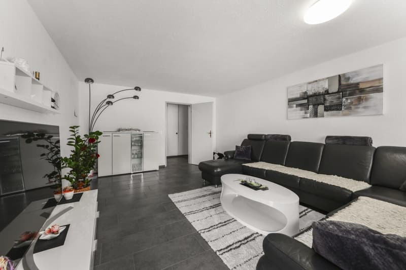 Wohnen mit Wohlgefühl: 4.5-Zimmer-Wohnung an idealer Lage (3)