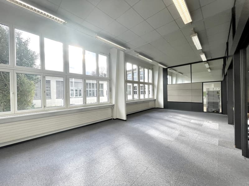 Beautiful and affordable: Office on Freihofstrasse - 367 m² - until 31.12.2029 (8)