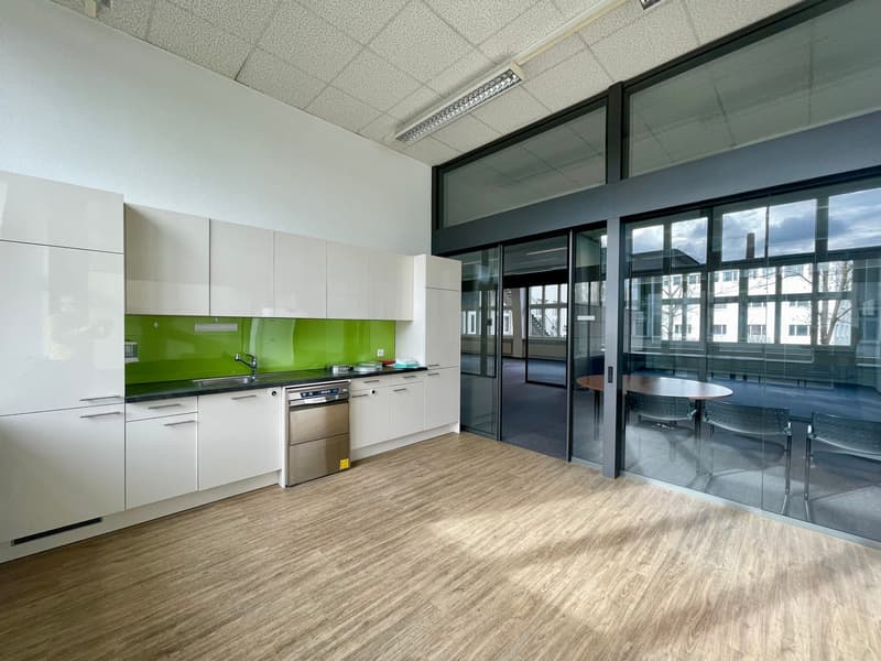modern kitchen with white cabinets, green countertop, stainless steel dishwasher, glass doors, hardwood floors