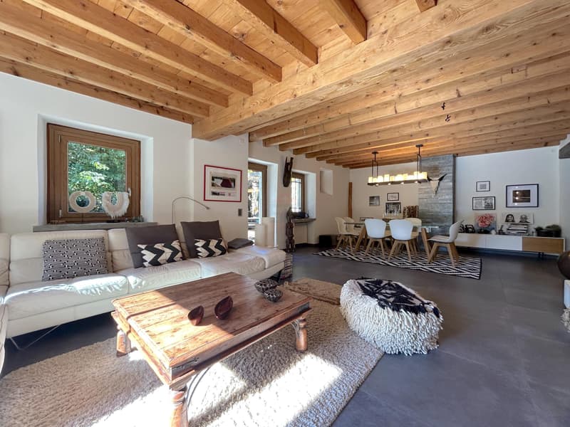 Magnifique maison villageoise au calme (4)