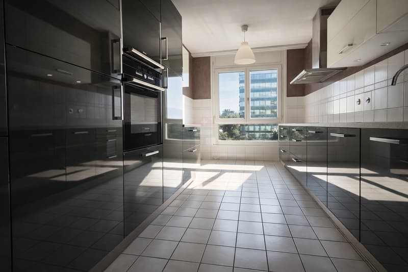 Appartement d'exception / Quartier des Nations, Genève (3)
