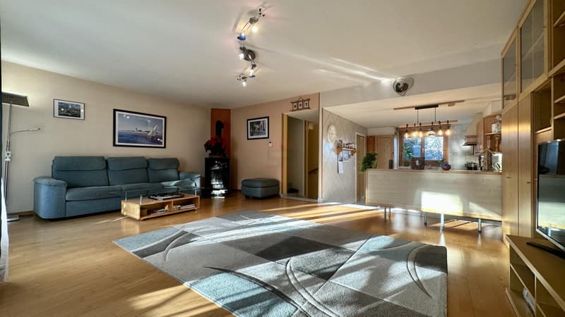 Charmante Maison de 220m², au calme (4)