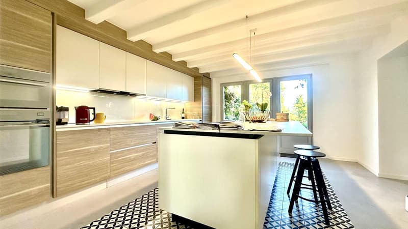Propriété de charme de 6 pièces et 220 m² dans un cadre verdoyant et préservé (6)