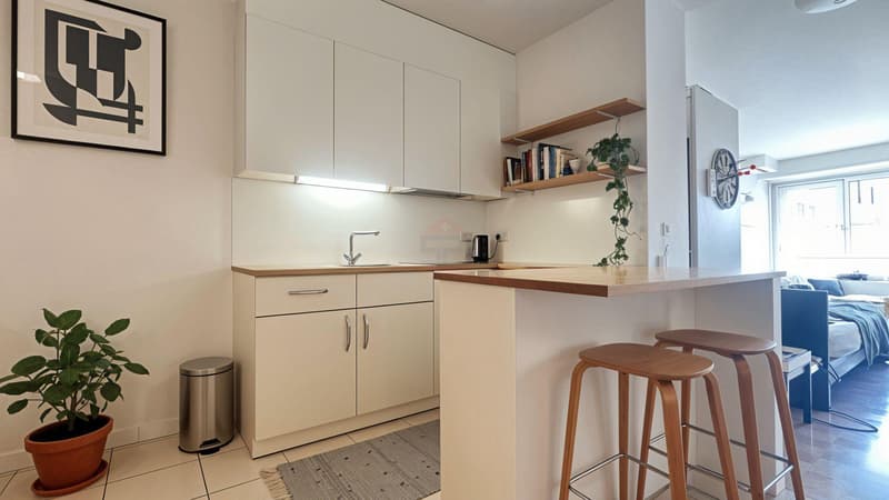 Charmant studio de 44 m², situé dans un endroit très recherché. (2)