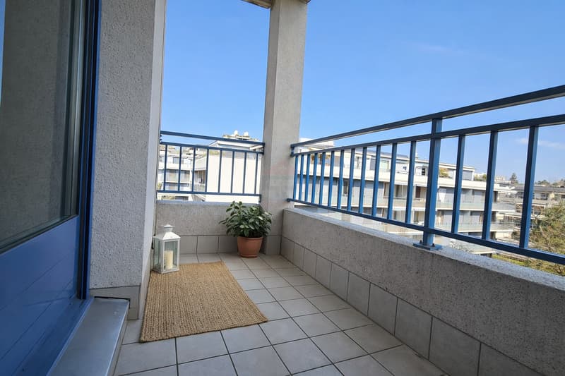 Appartement d'exception / Quartier des Nations, Genève (10)