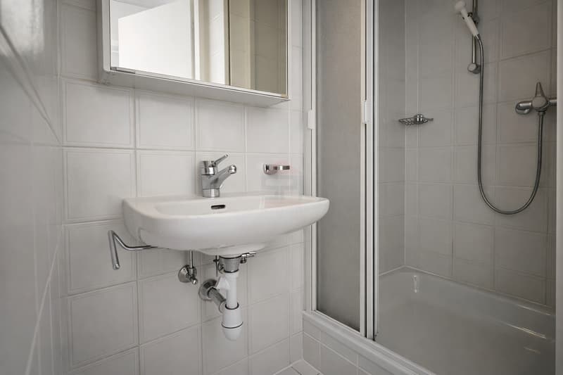 Appartement d'exception / Quartier des Nations, Genève (11)