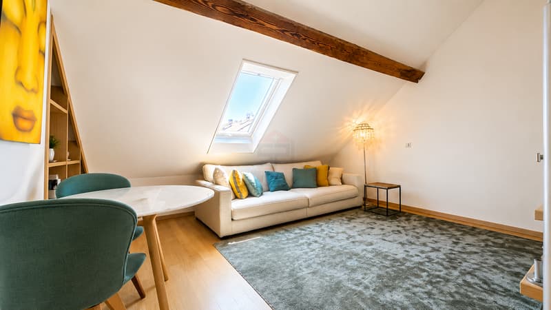 Charmant appartement alliant cachet et élégance (3)